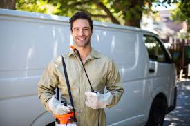 Best Fumigation Services  in Willacoochee, GA